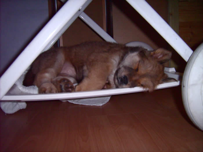 7 Wochen und soooo müde... :-)