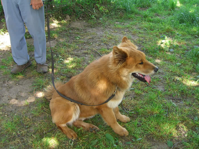 Taiga knapp 6 Monate