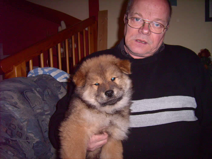 D-Taiga mit 8 Wochen