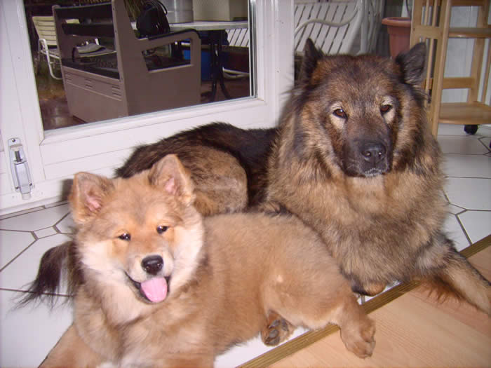 Duffy mit Mama Carry