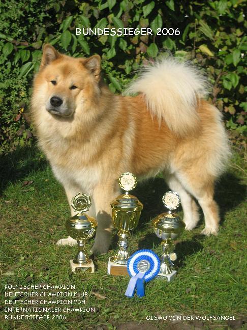 Gismo von der Wolfsangel