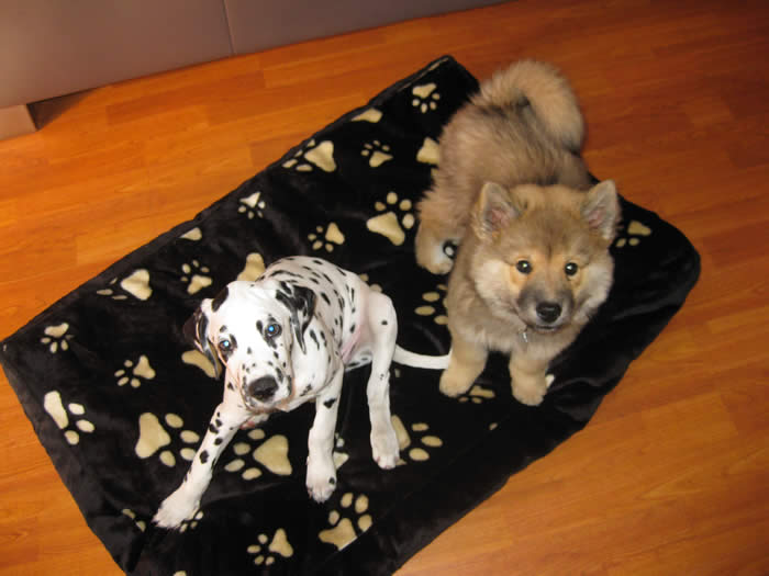 Ekita mit Freundin Dina