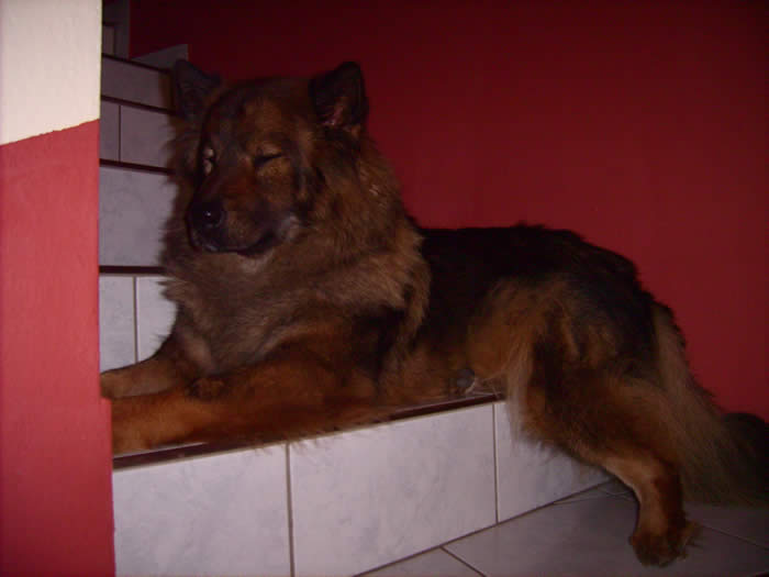 Carry vom Vierwindehaus